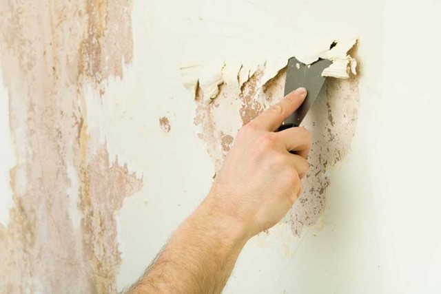How to protect your damage walls